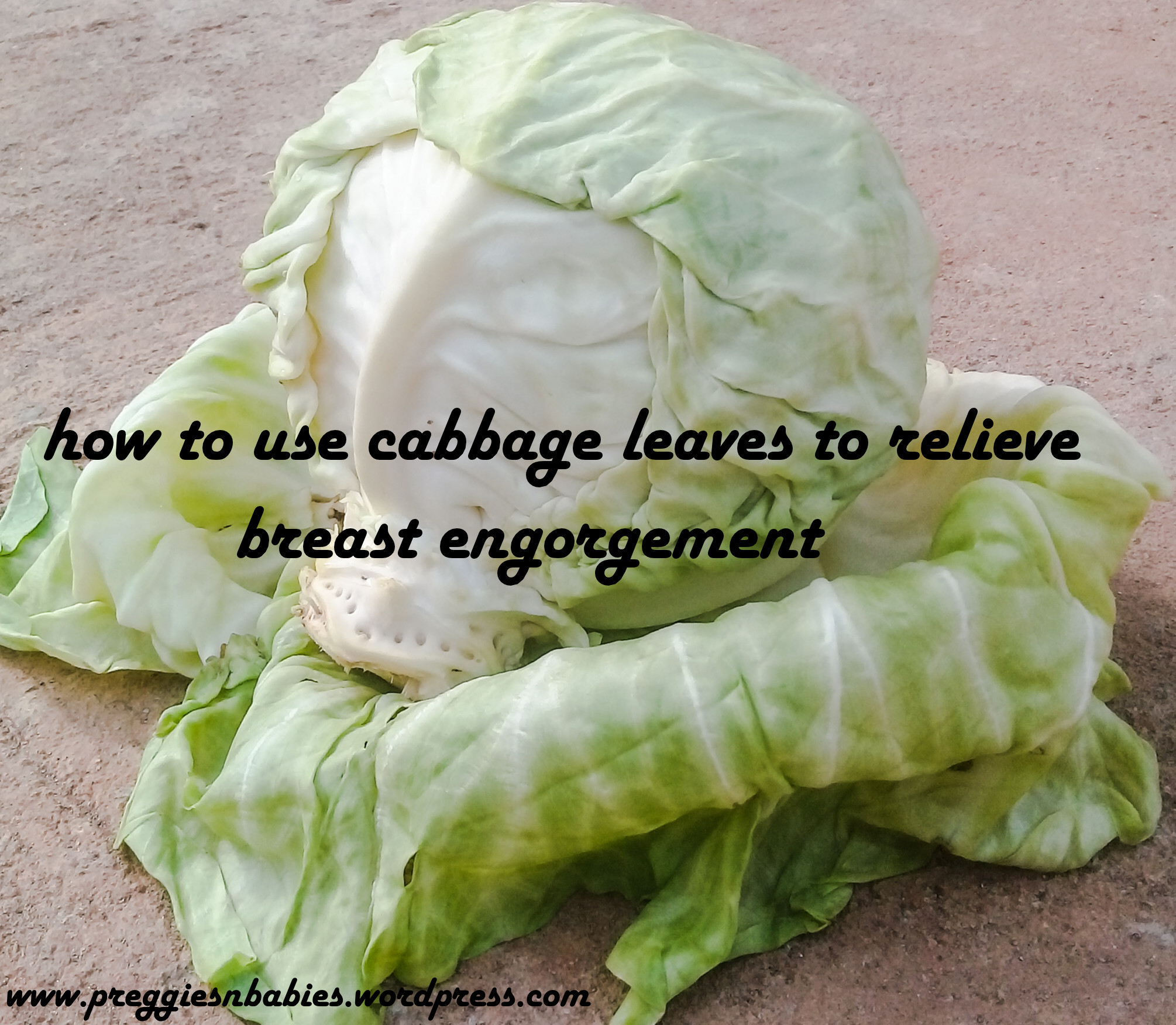 How To Use Cabbage Leaves To Relieve Breast Engorgement Reprolife